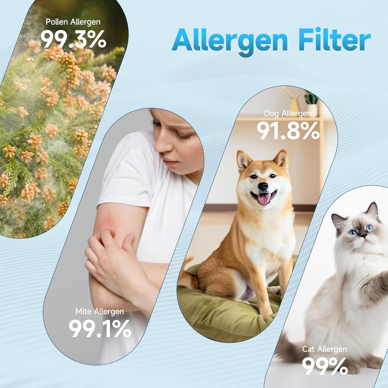 Filtro de Reemplazo Coway AP-1512HH - 1 Pre-Filtro + 2 Filtros + 4 de Carbono