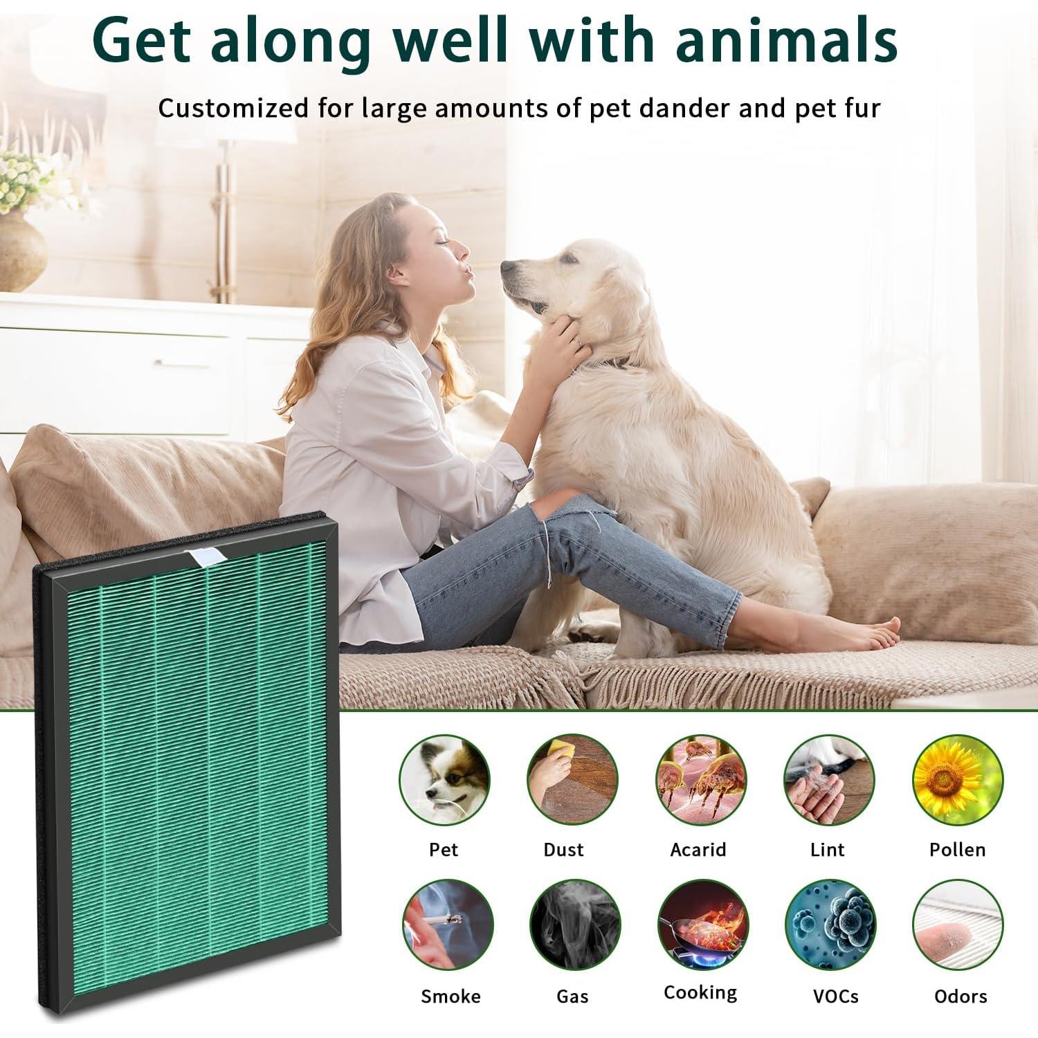 Filtro de Reemplazo Coway AIRMEGA 400/400S - 2 en 1 Carbón