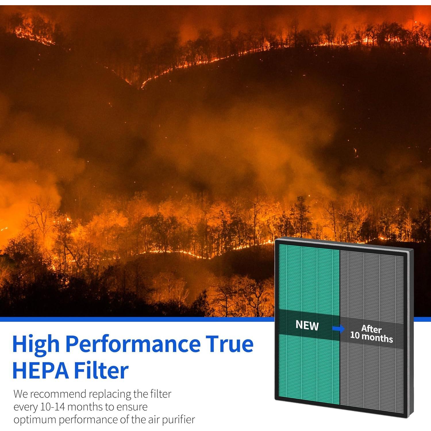 Filtros de Reemplazo HEPA y Carbón Activado Coway Airmega 250