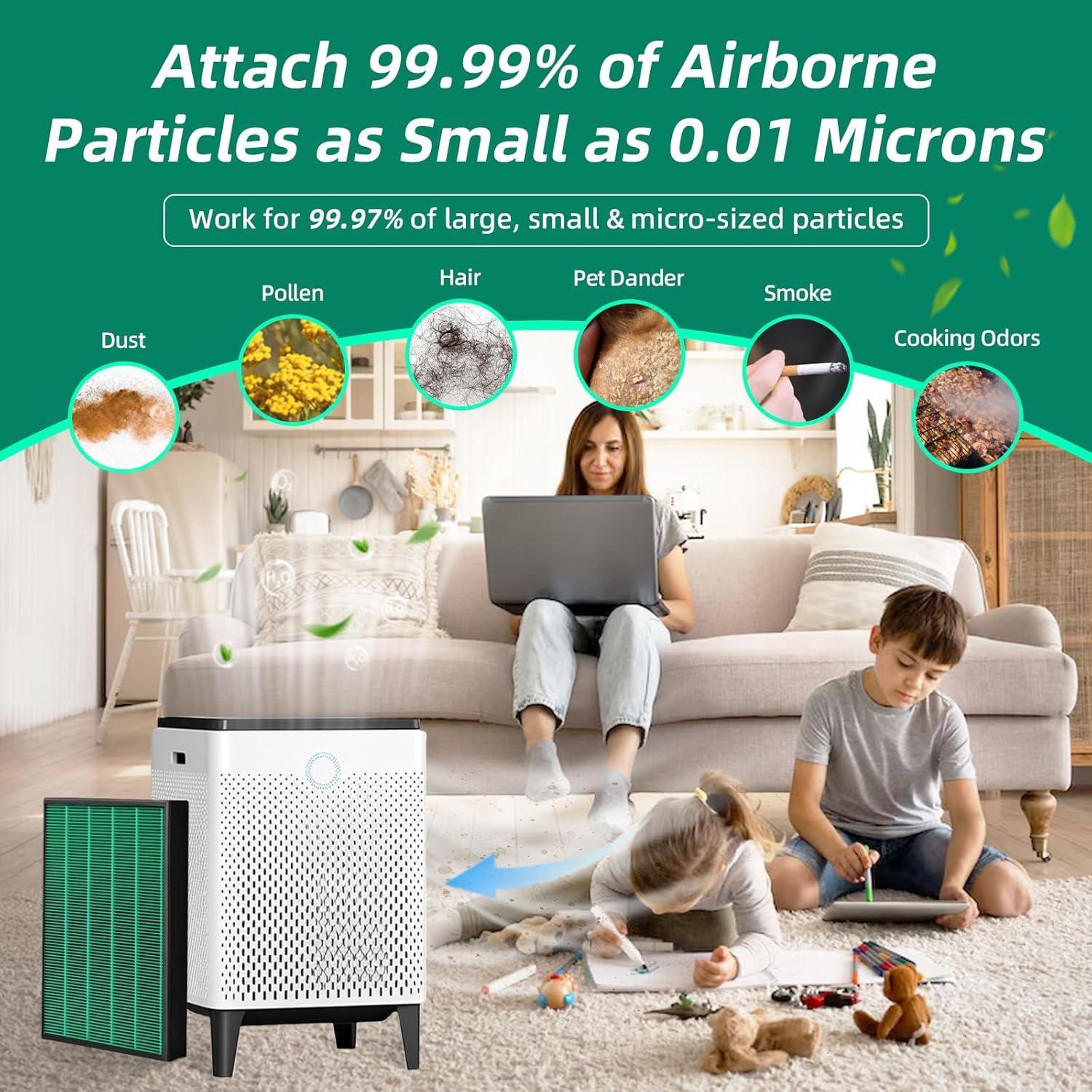 Paquete de 2 Filtros HEPA y Carbón Moguimax 400 para Coway