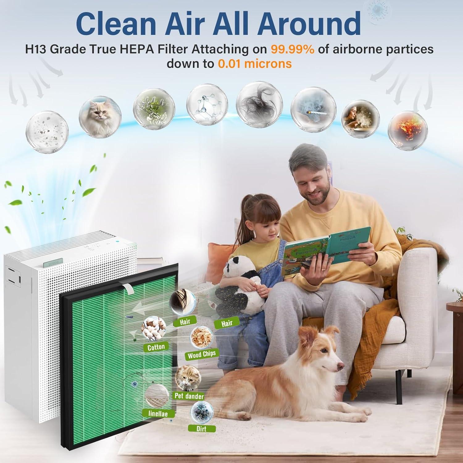 Filtros de Reemplazo HEPA y Carbono Smilyan para Coway Airmega 150