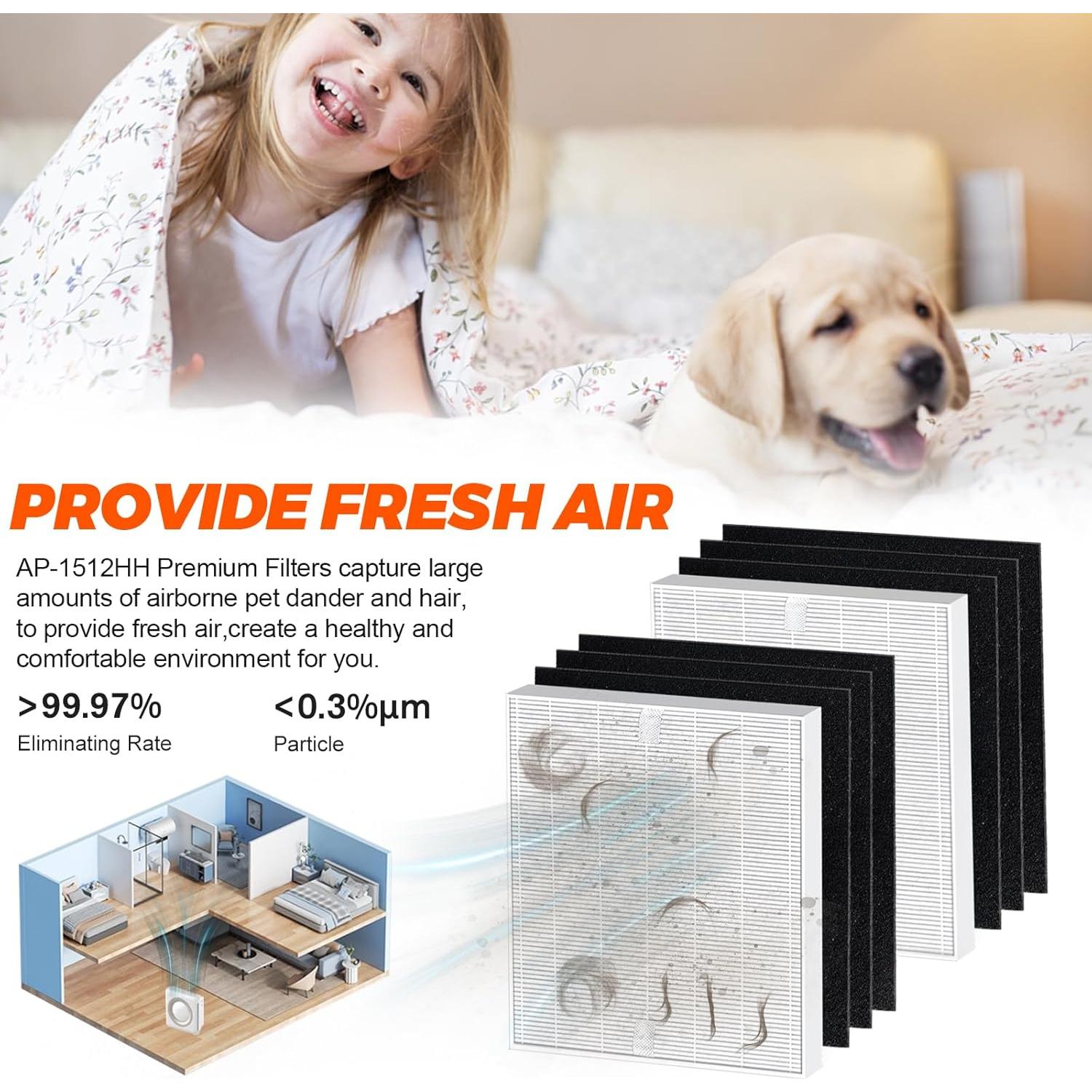 Paquete de 2 Filtros HEPA y 6 de Carbón Blutoget AP-1512HH