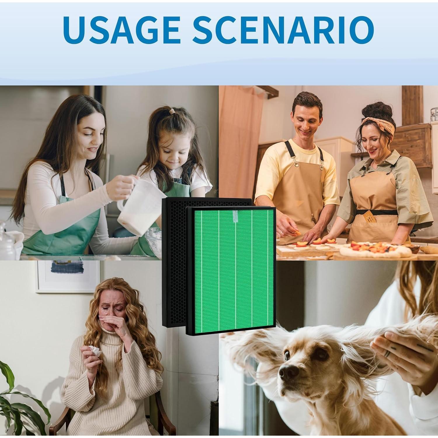 Filtro HEPA y Carbono Activo Alvamoyle para Airmega 230/240 - Paquete de 2