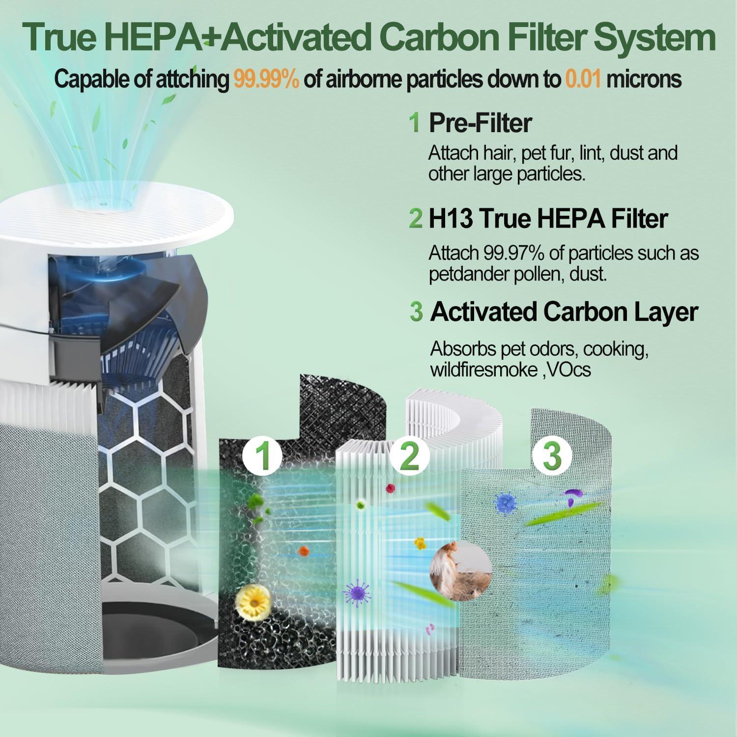 Filtro de Reemplazo HEPA 211i Max GRN FIL - 2 Pack