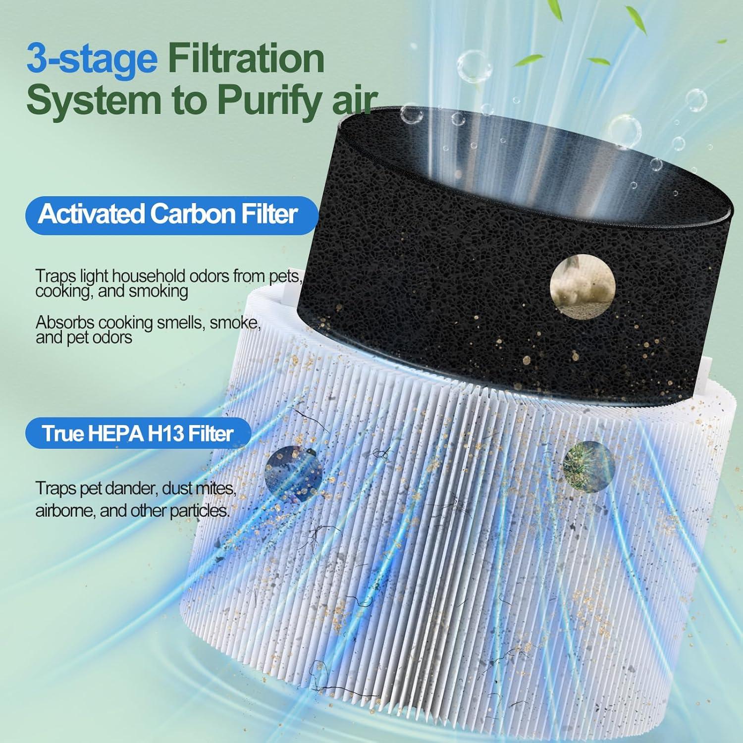 Filtro de Reemplazo HEPA 211i Max GRN FIL - 2 Pack