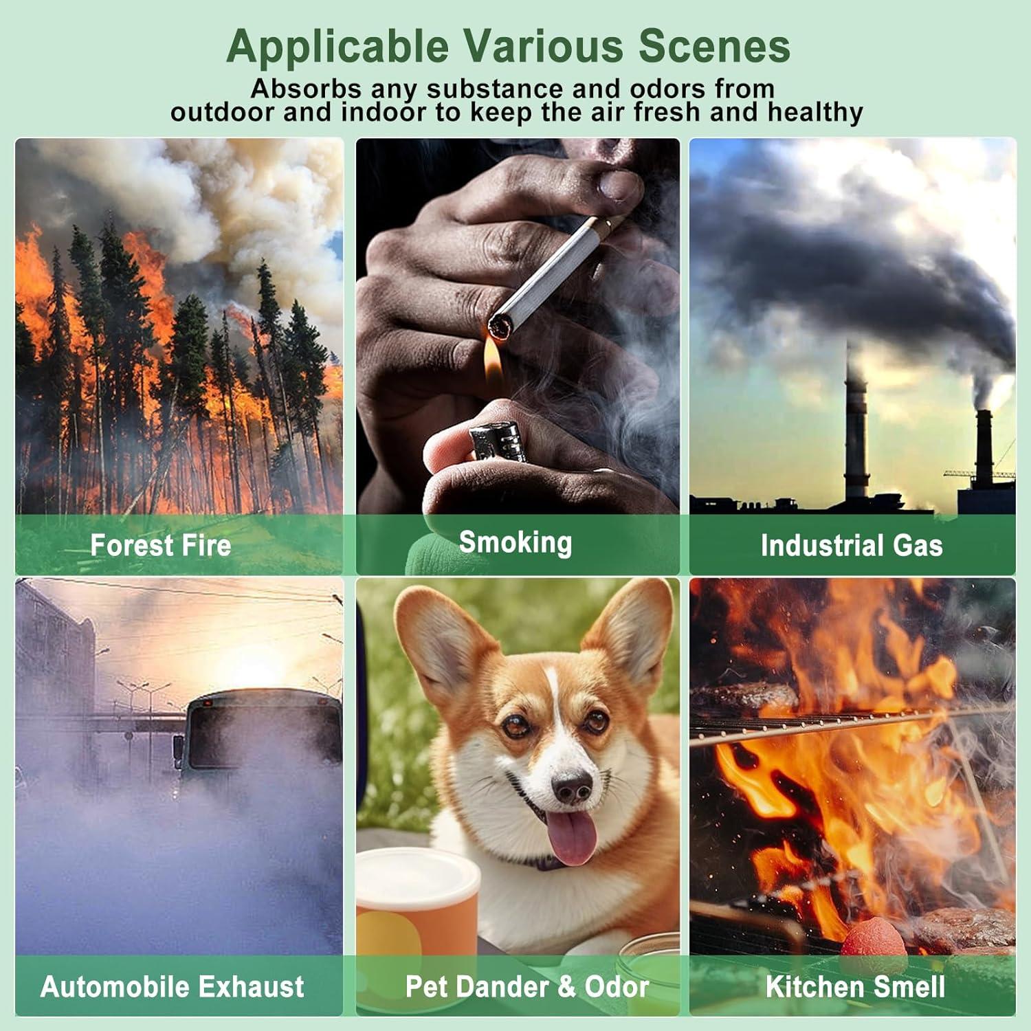 Filtro de Reemplazo HEPA 211i Max GRN FIL - 2 Pack