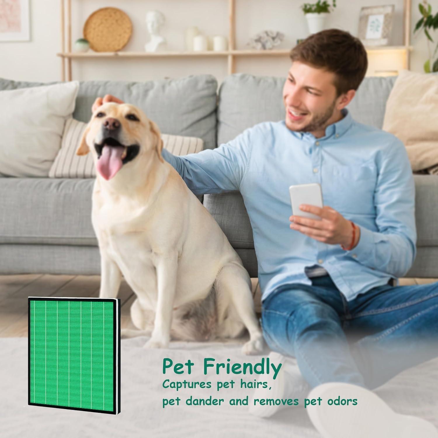 Filtro HEPA y Carbono Activo Asheviller para Airmega 250S - Paquete de 2