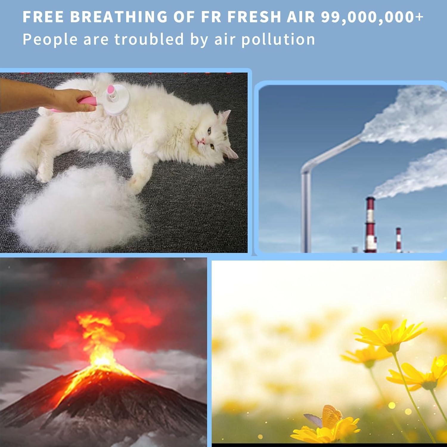 Paquete de Filtros HEPA Coway AP-1512HH - 2 Piezas