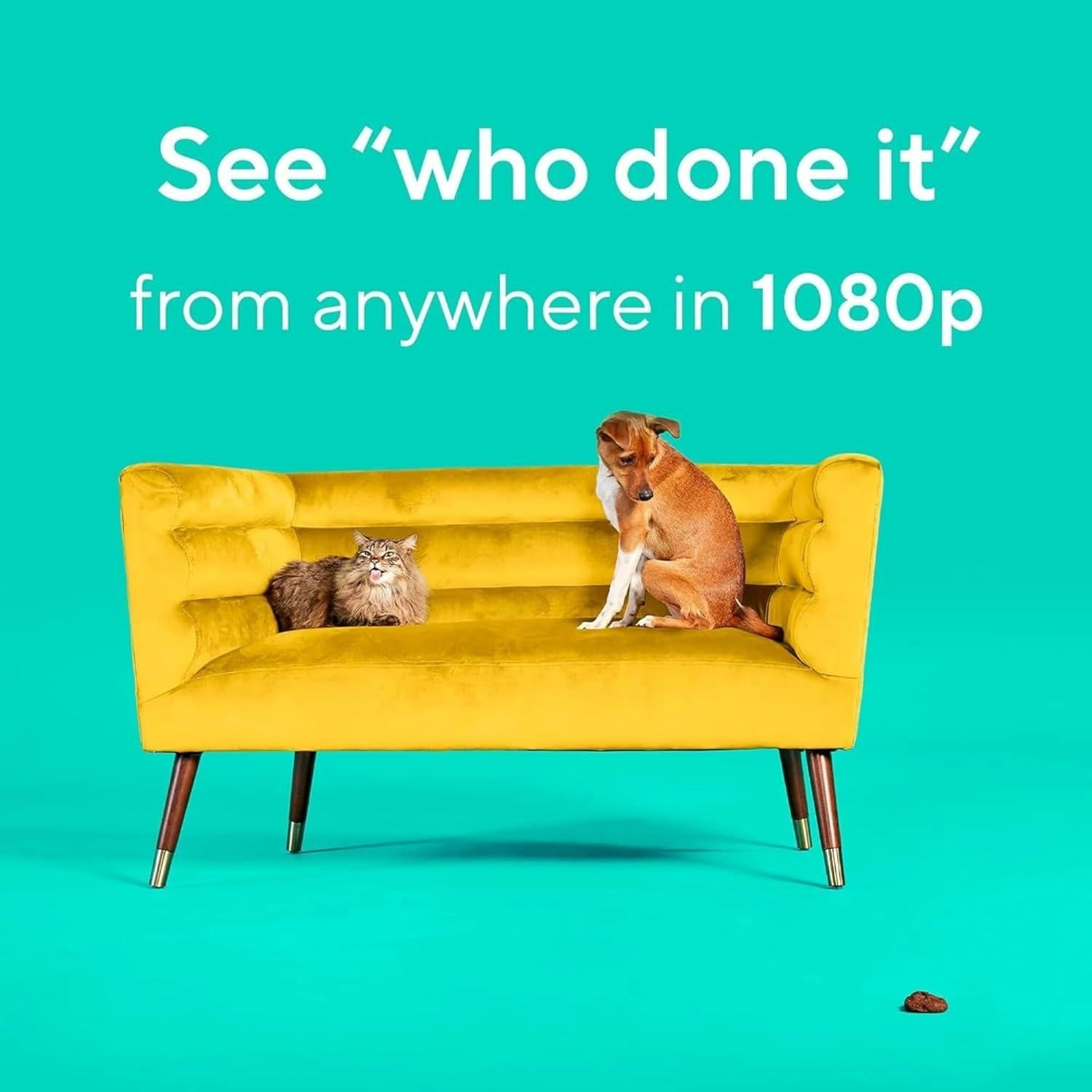 Cámara de Seguridad Wyze Cam Pan v2 1080p con Tarjeta SD 128GB