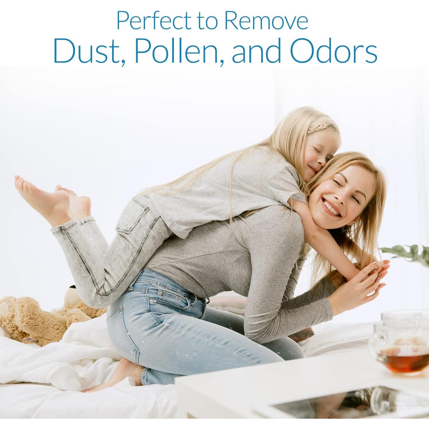 Reemplazo Filtros HEPA Airity HPA300 - 3 HEPA + 4 Prefiltros