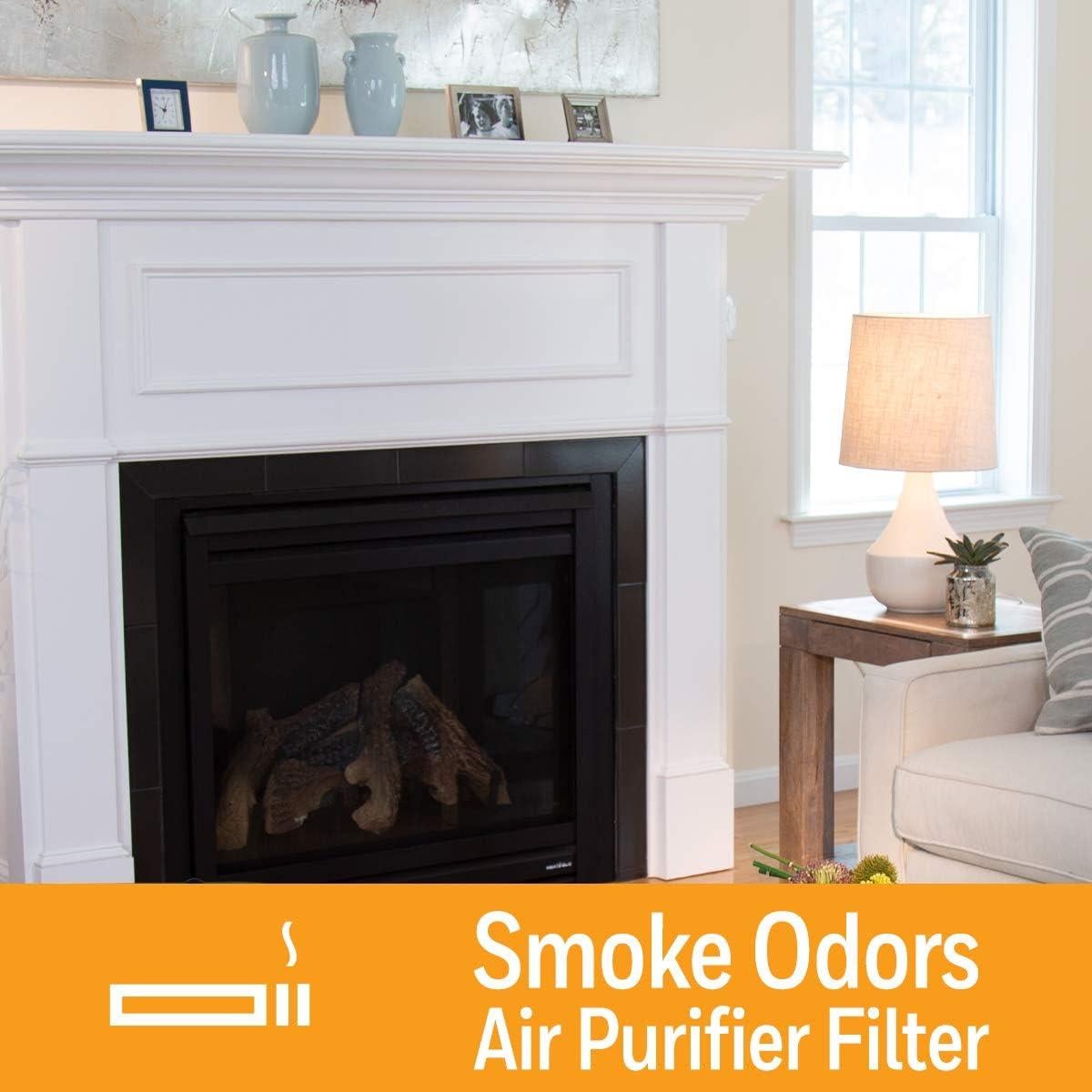 Filtro de Olores a Humo Honeywell HRFSS1 para Purificadores