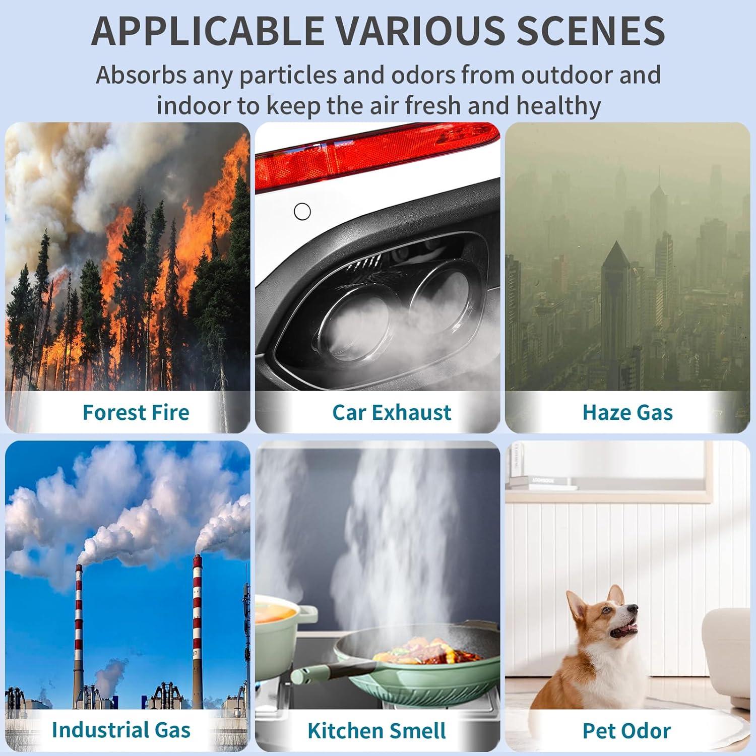 Filtros HEPA Demiwise para Purificadores Honeywell HPA300 - Paquete de 6