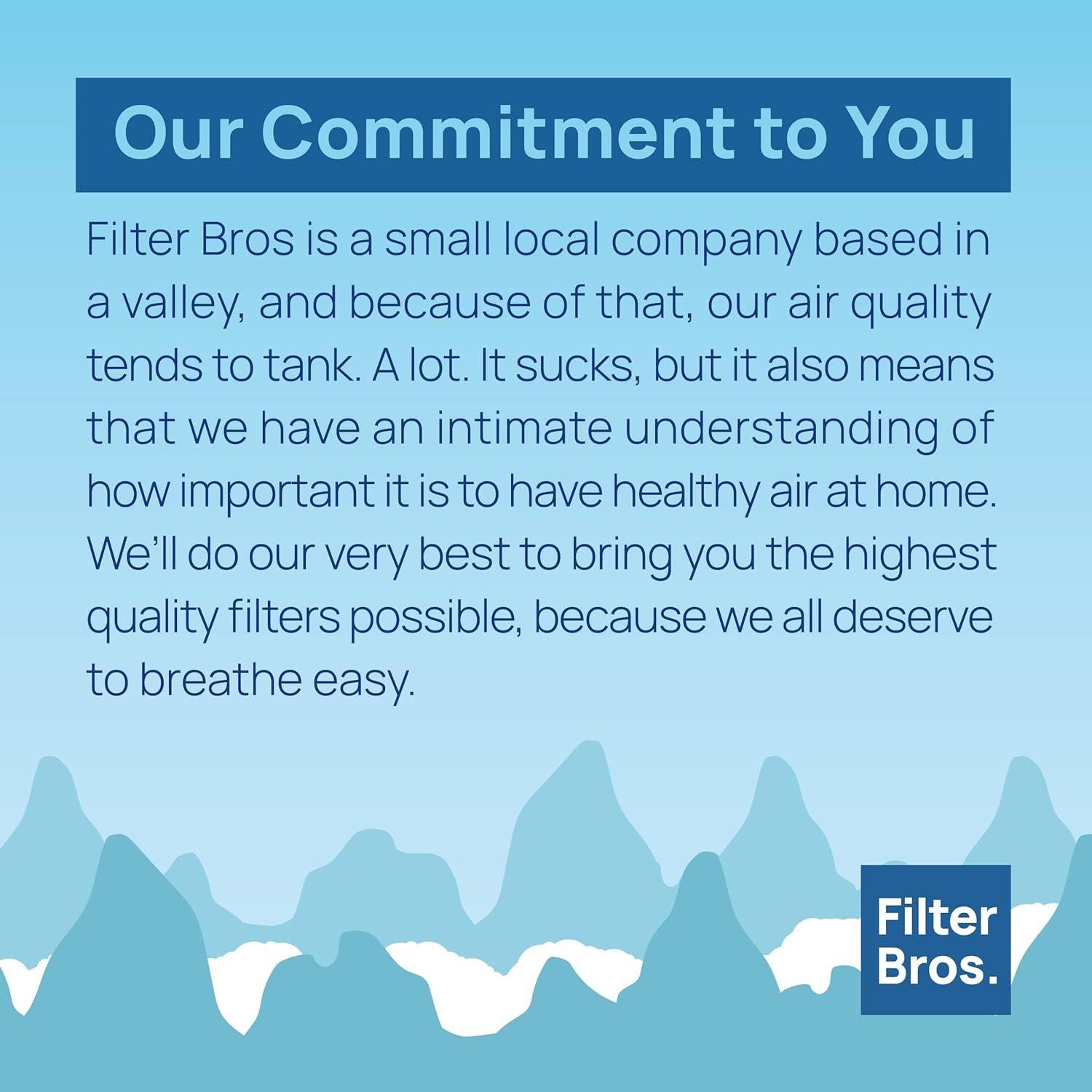 Filtro HEPA de Reemplazo Filter Bros HRF-R3 Paquete de 3