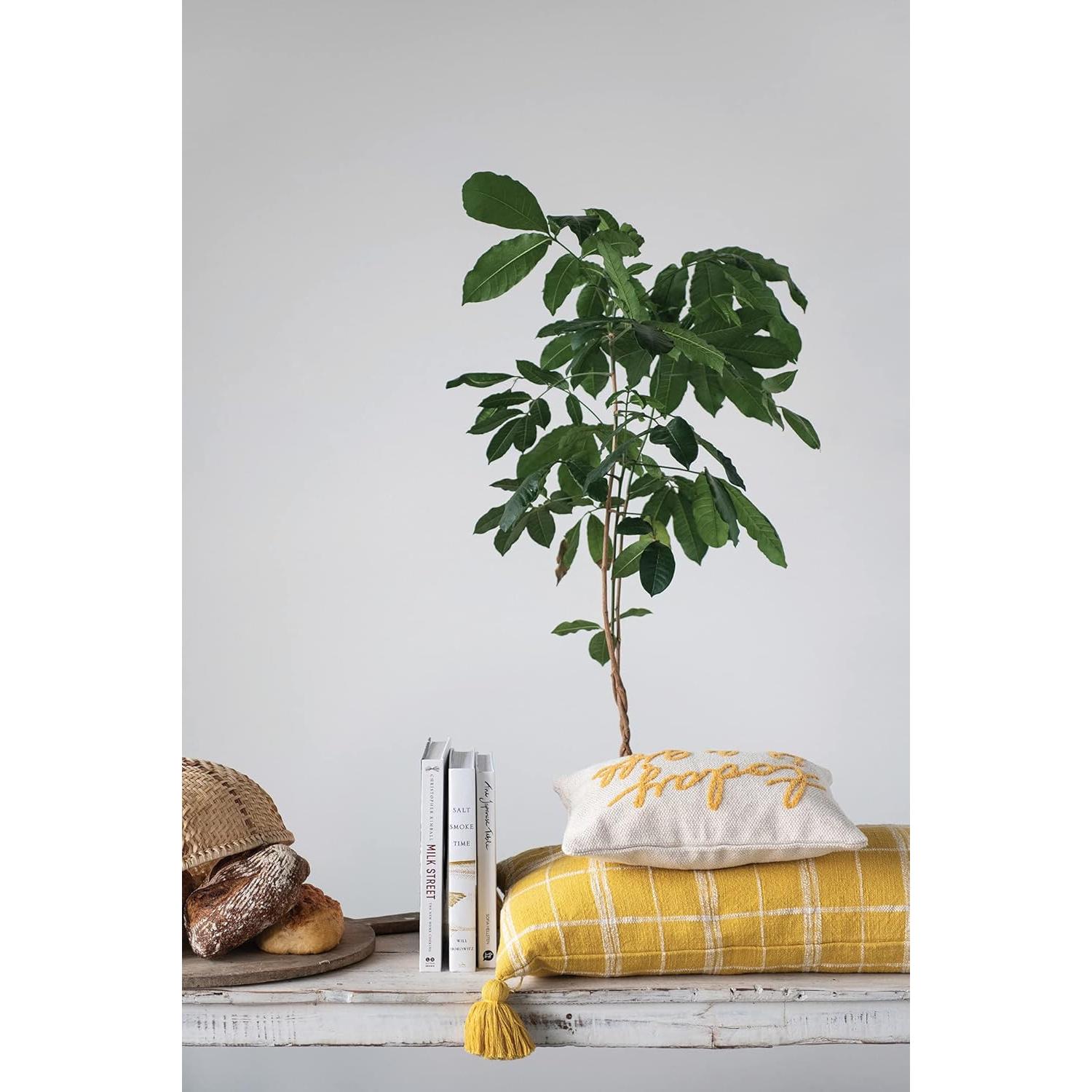 Almohada Lumbar de Algodón Bordada Creative Co-Op 36.83x24.13cm