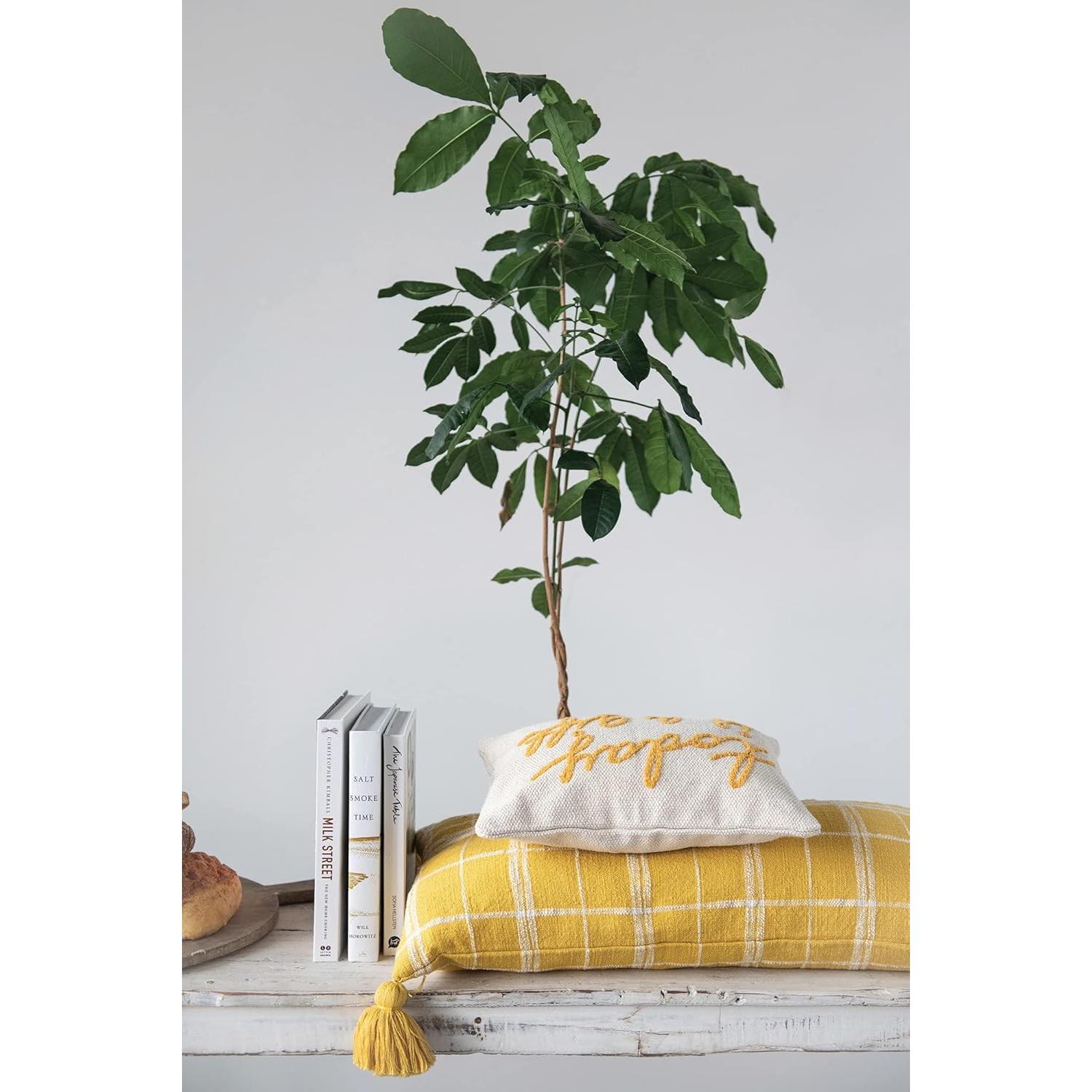 Almohada Lumbar de Algodón Bordada Creative Co-Op 36.83x24.13cm