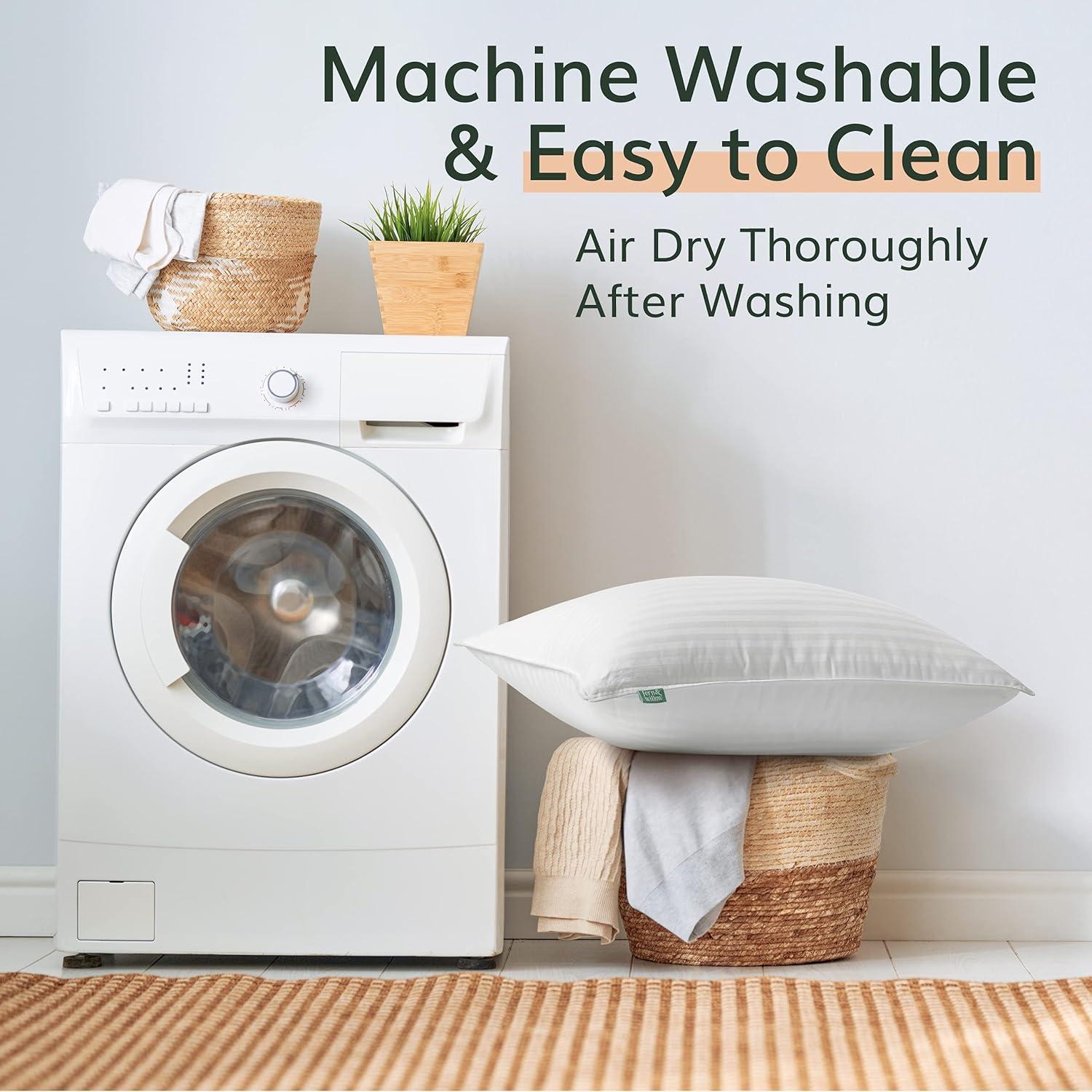 Almohadas Premium Fern y Willow - Juego de 2 - 91cm x 51cm - Suave y Fresca