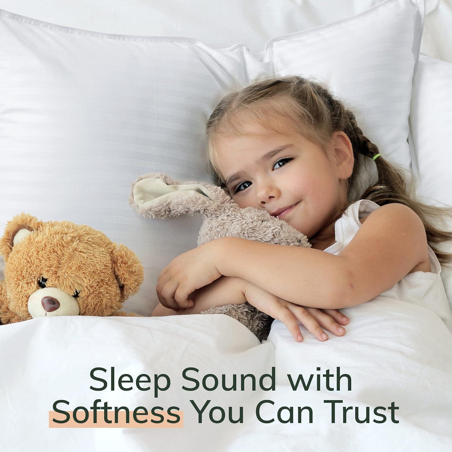 Almohadas Premium Fern y Willow - Juego de 2 - 91cm x 51cm - Suave y Fresca