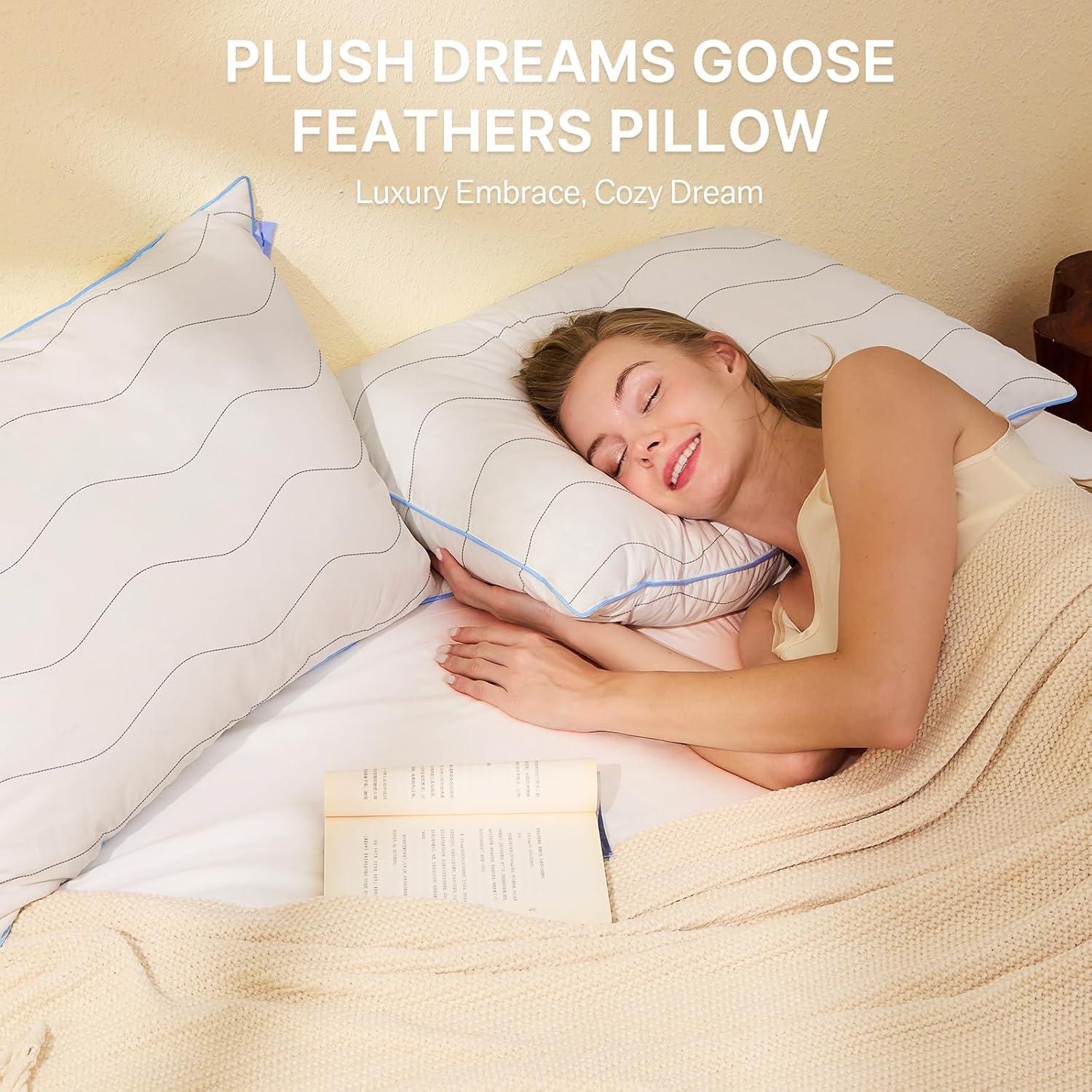 Almohadas de Plumas de Ganso Felo Queen Set de 2 50x76cm