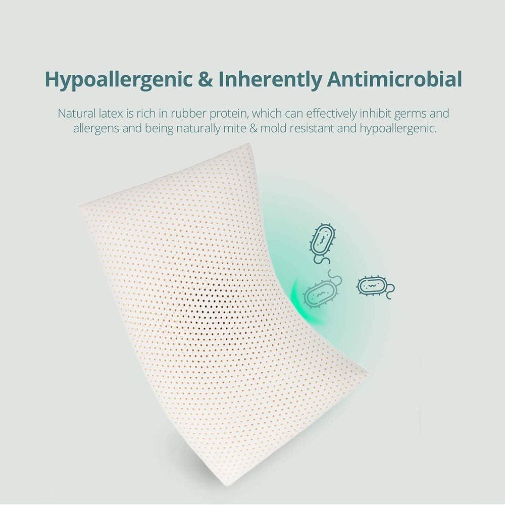 Almohada de látex UPOUEIM Estándar 100% Natural Transpirable