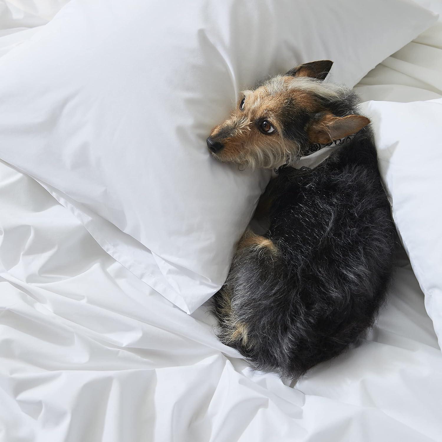 Juego de Sábanas de Lujo Brooklinen Queen 4 Piezas Algodón