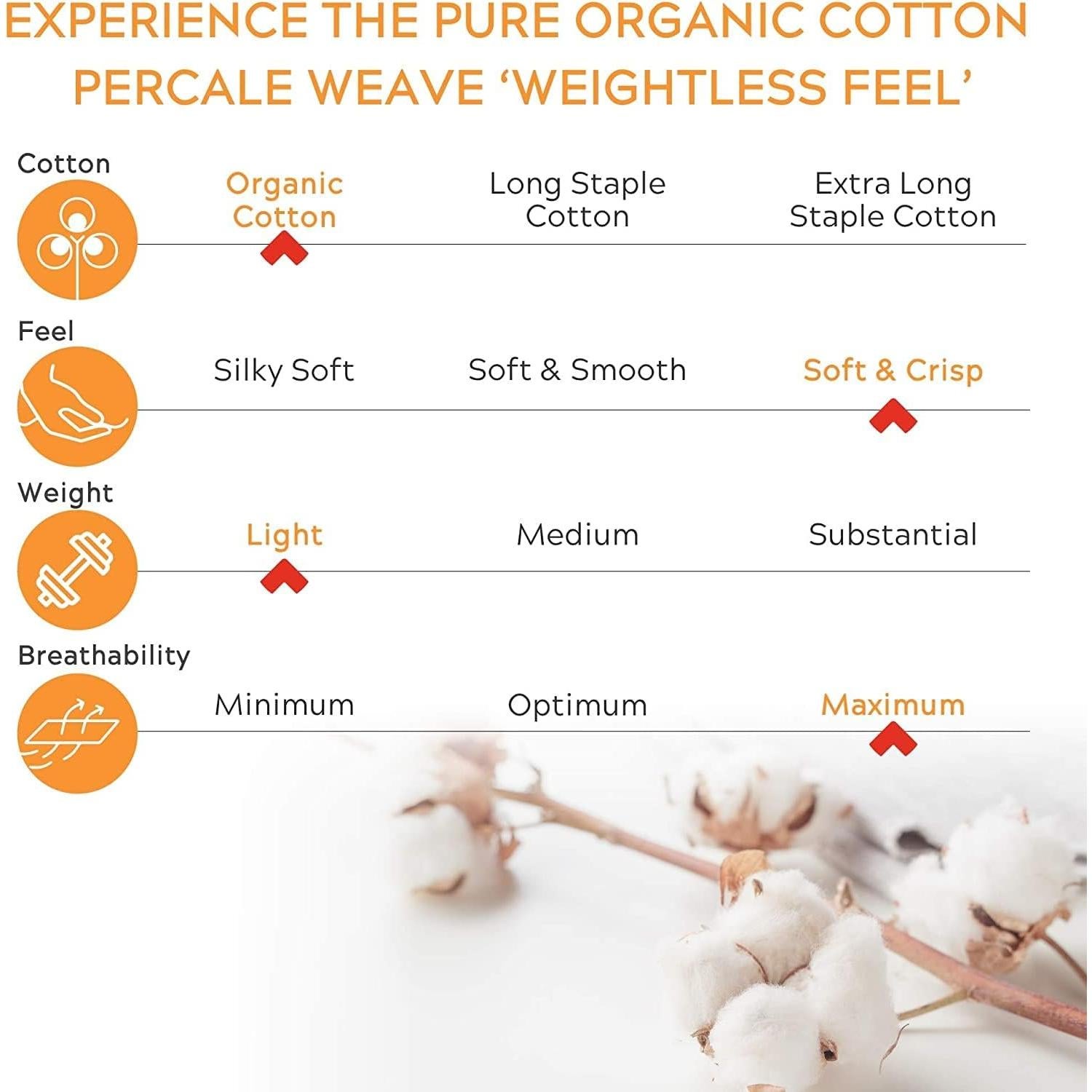 Juego de Sábanas Queen Sleep Mantra 100% Algodón Orgánico - 4 Piezas