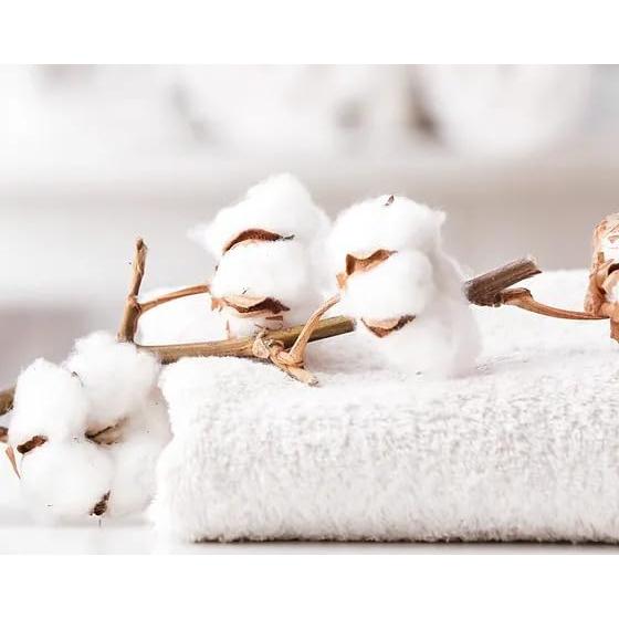 Toallas de Mano BC BARE COTTON 30x30 cm Beige Set 24