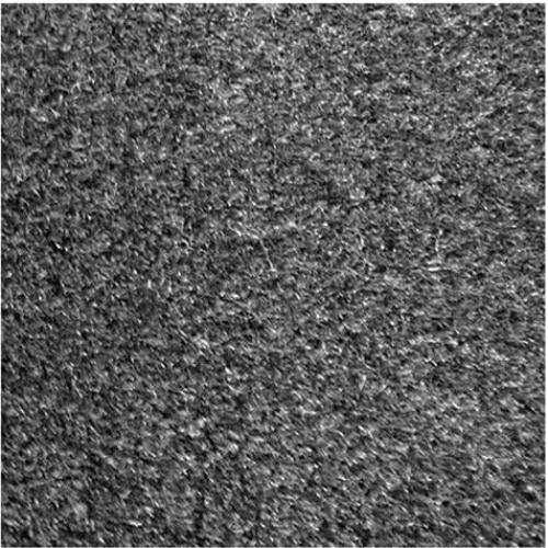 Alfombra Interior Absorbente Genuine Joe GJO56352 0.91x1.52m