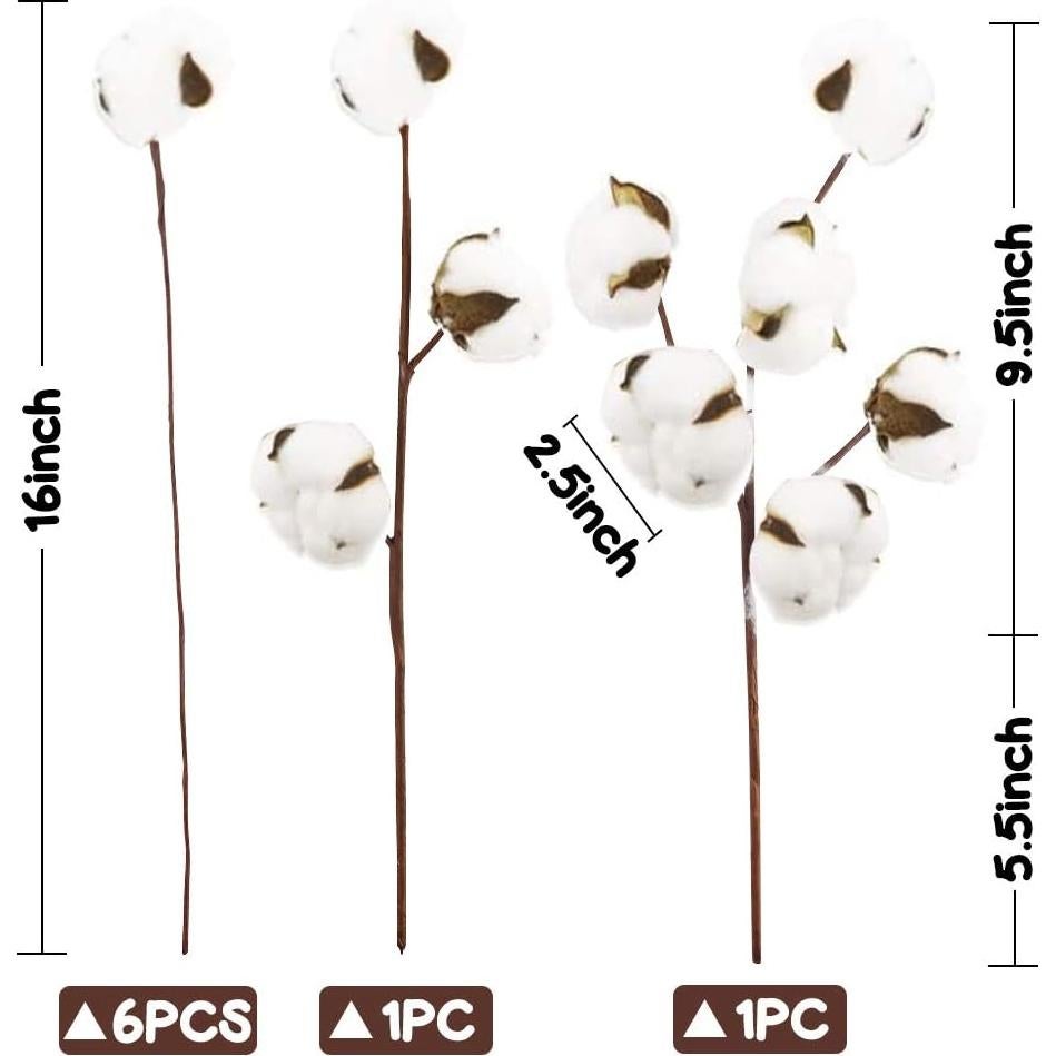 Ramas de Algodón Natural DomeStar - 8 Paquetes para Decoración