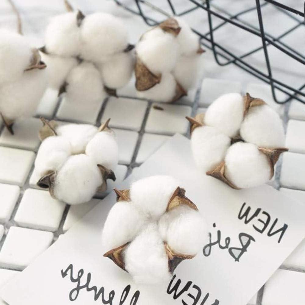 Ramas de Algodón Natural DomeStar - 8 Paquetes para Decoración