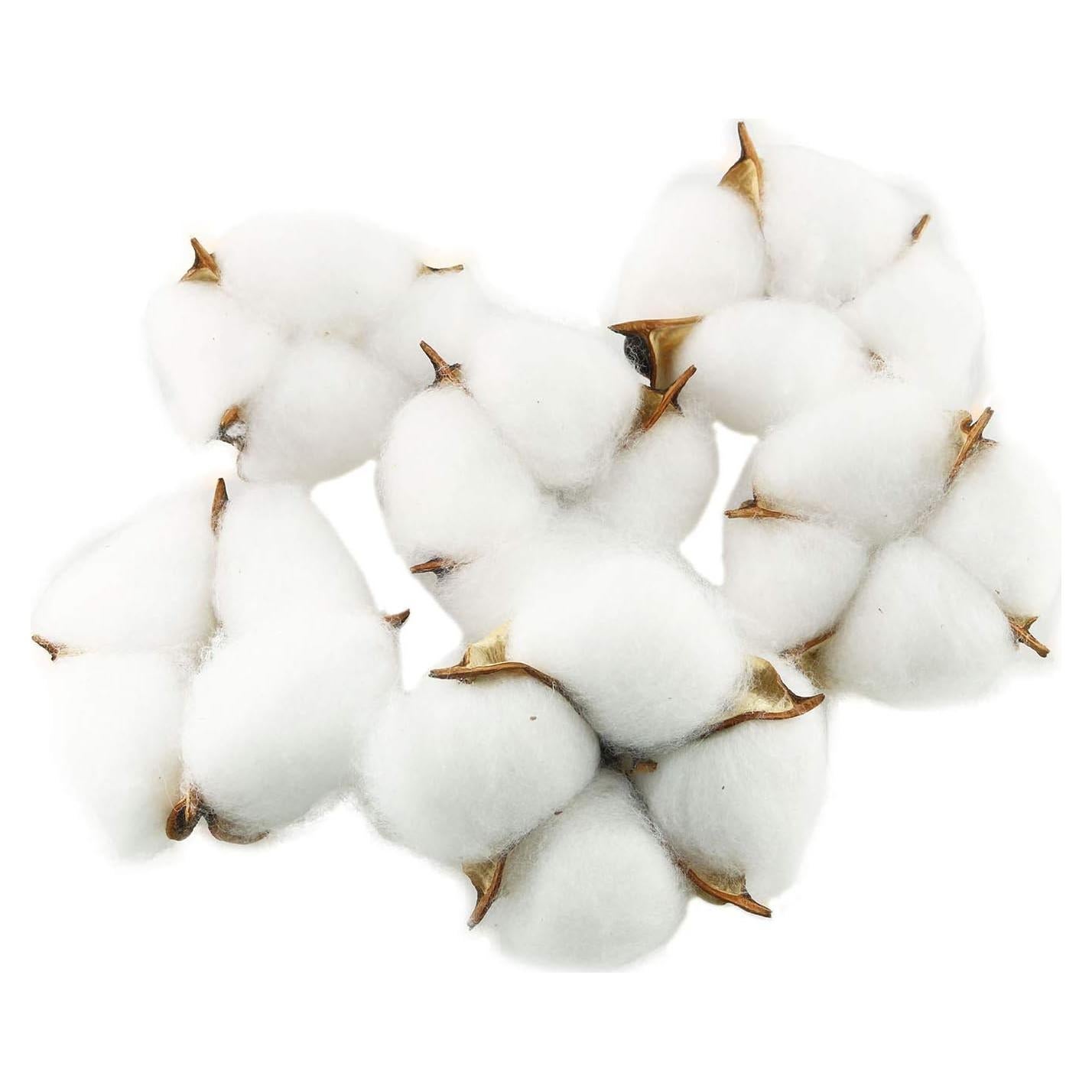 Bolas de Algodón Natural Tegg 20PCS 5cm Blancas para Manualidades