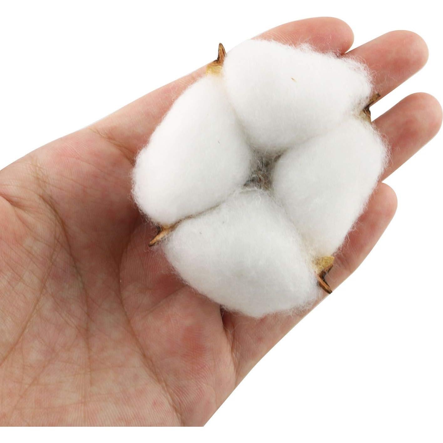 Bolas de Algodón Natural Tegg 20PCS 5cm Blancas para Manualidades