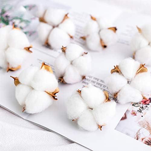 Bolas de Algodón Natural Tegg 20PCS 5cm Blancas para Manualidades