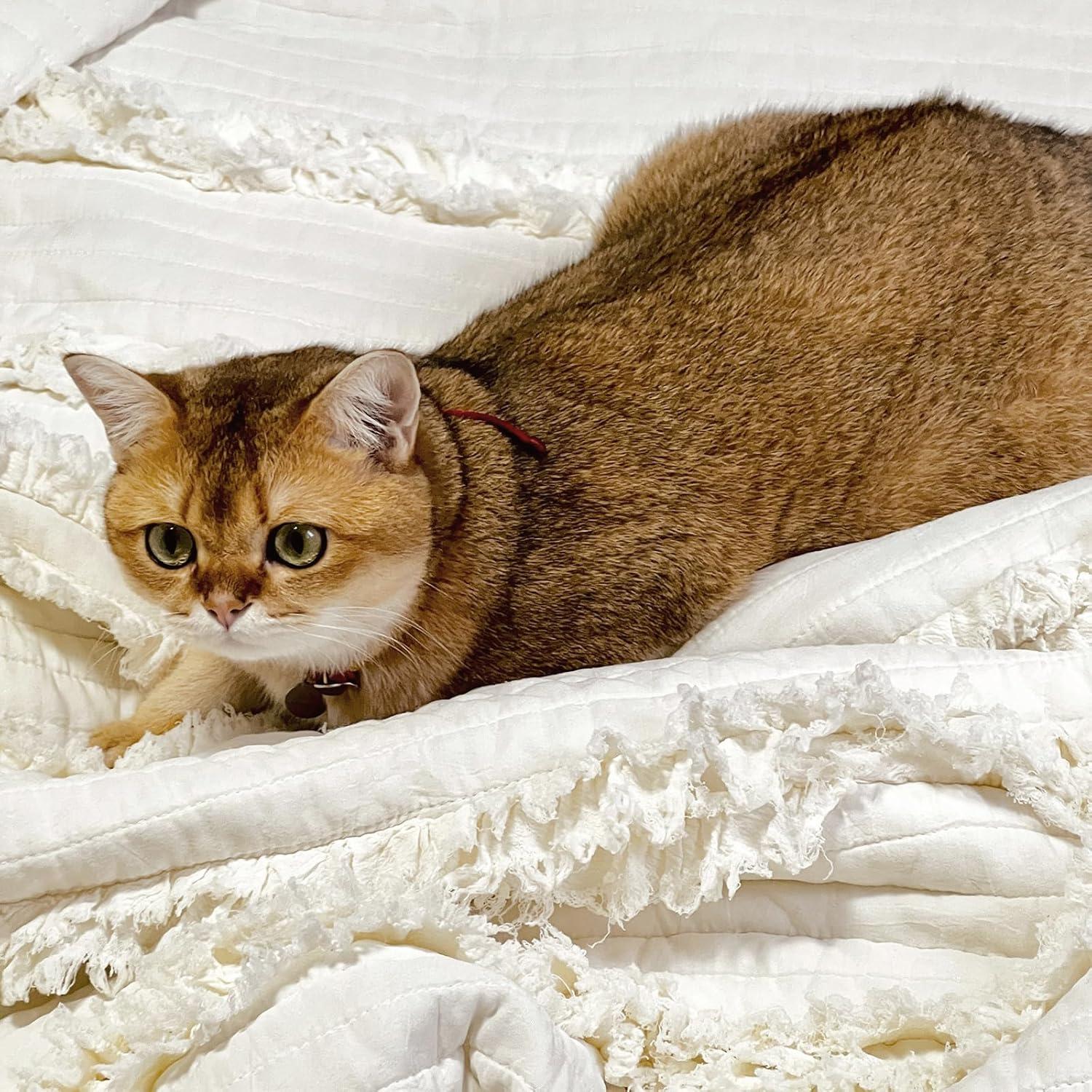 Manta de lanzamiento HORIMOTE HOME 127x152cm crema boho