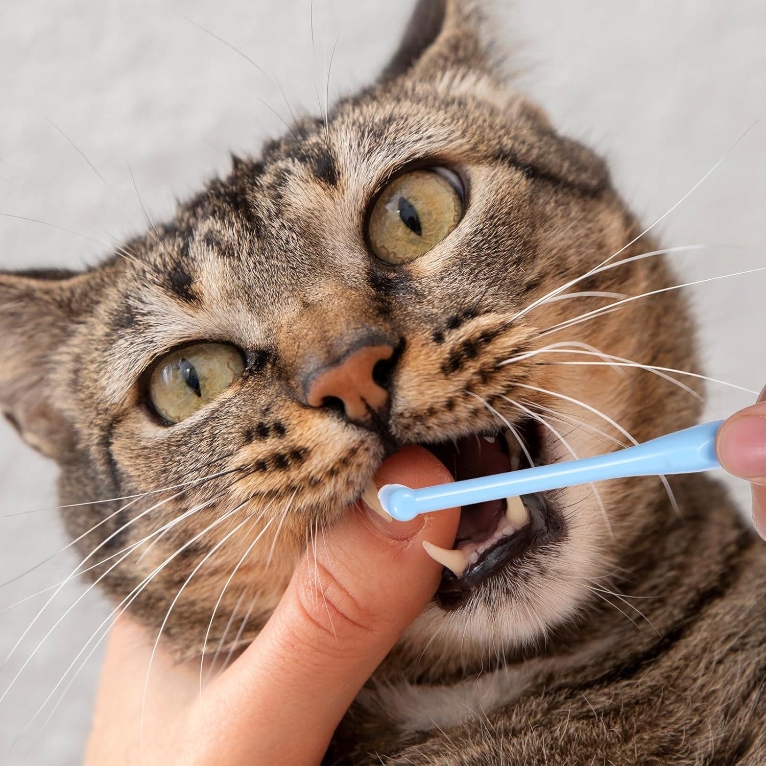 Set de 6 Cepillos de Dientes Suaves Bruislard para Limpieza Detallada