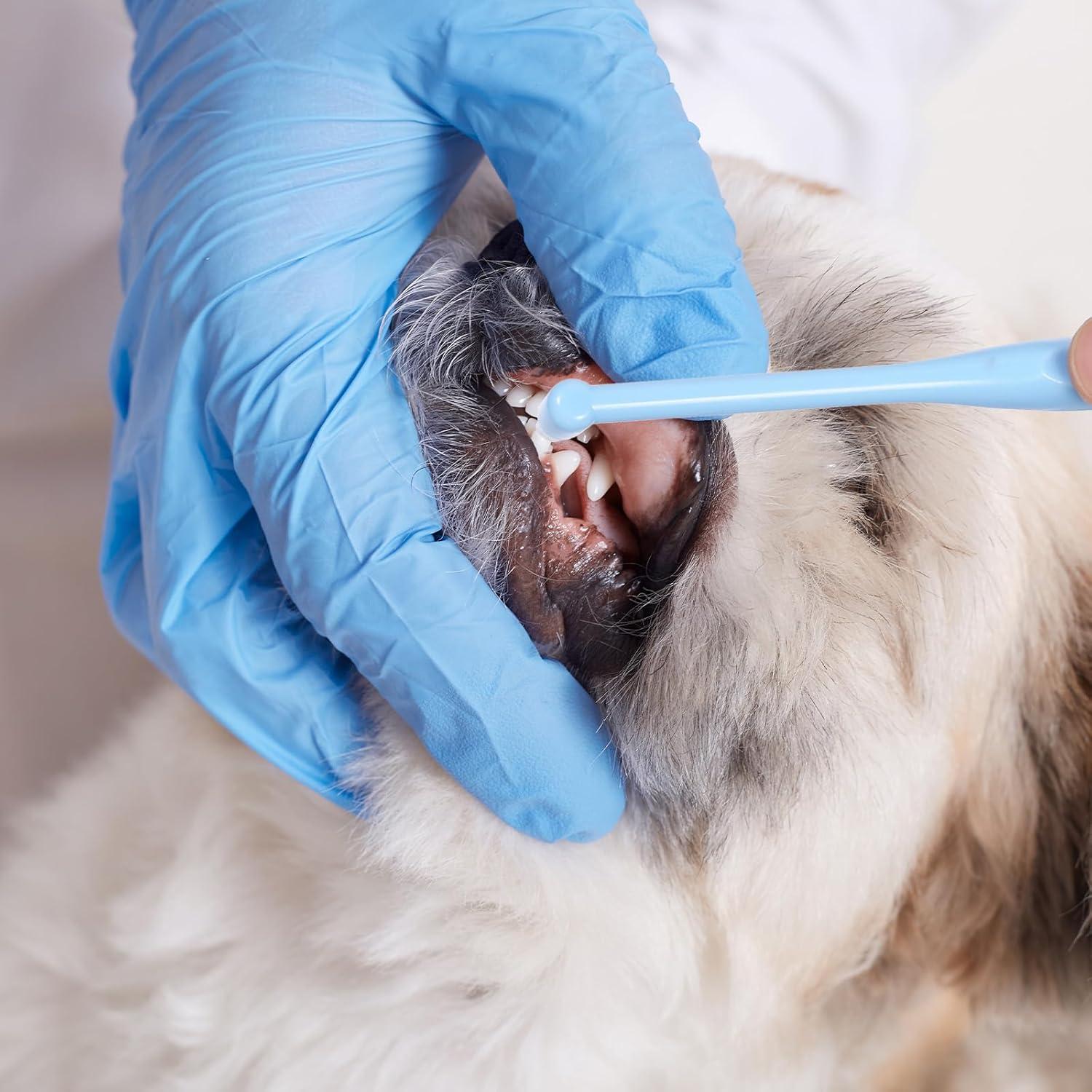 Set de 8 Cepillos de Dientes Interdentales Bruislard Suaves