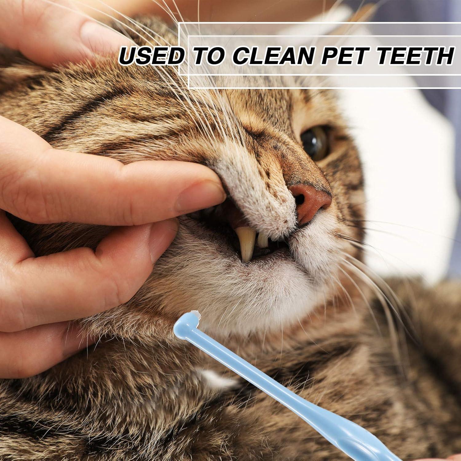 12 Cepillos Interdentales Suaves Patelai con Tapa Protectora