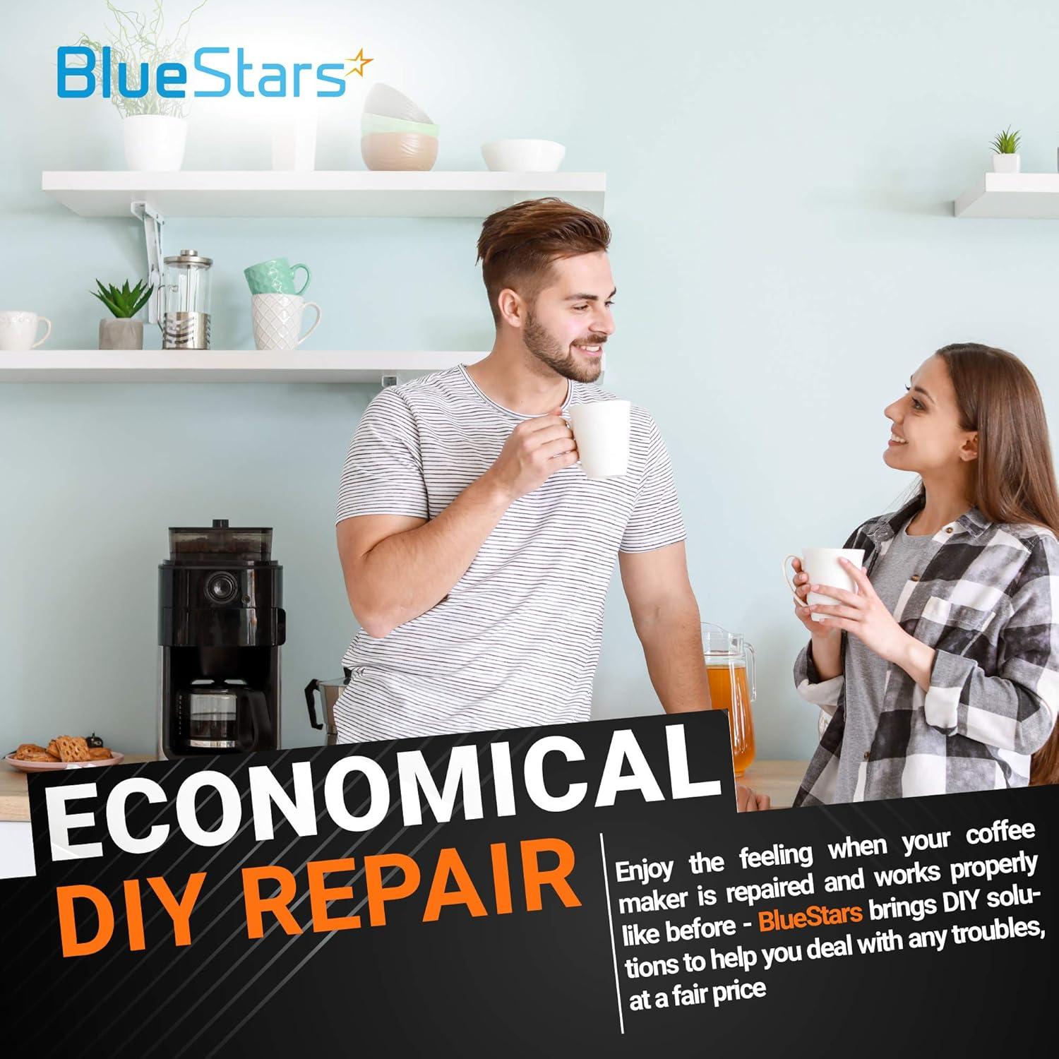 Repuesto Junta de Goma BlueStars para Émbolo AeroPress (2pcs)