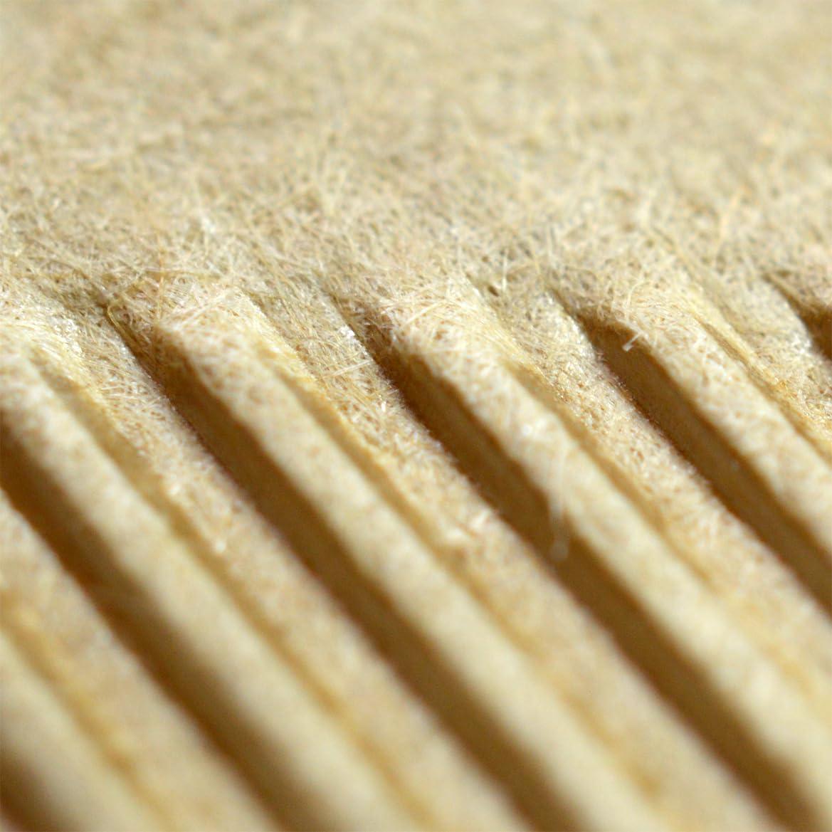 Filtros de Café de Papel canFly #4 200 Unidades Sin Blanquear