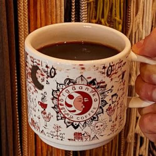 Café Orgánico Especialidad Nueva Orgaanika 340g Molido Medio