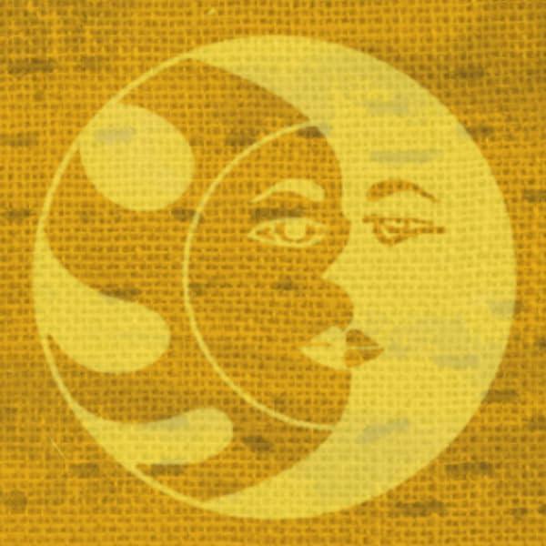 Café Orgánico Especialidad Nueva Orgaanika 340g Molido Medio