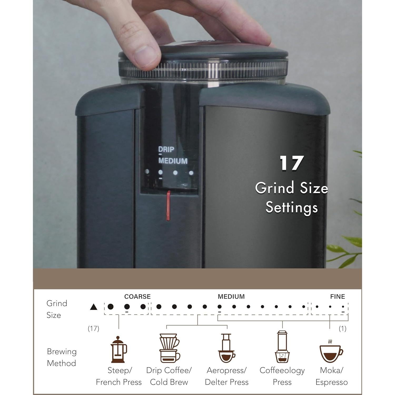 Molino de Café PALICO FCG1317UL 250g Acero Inoxidable Negro Mate