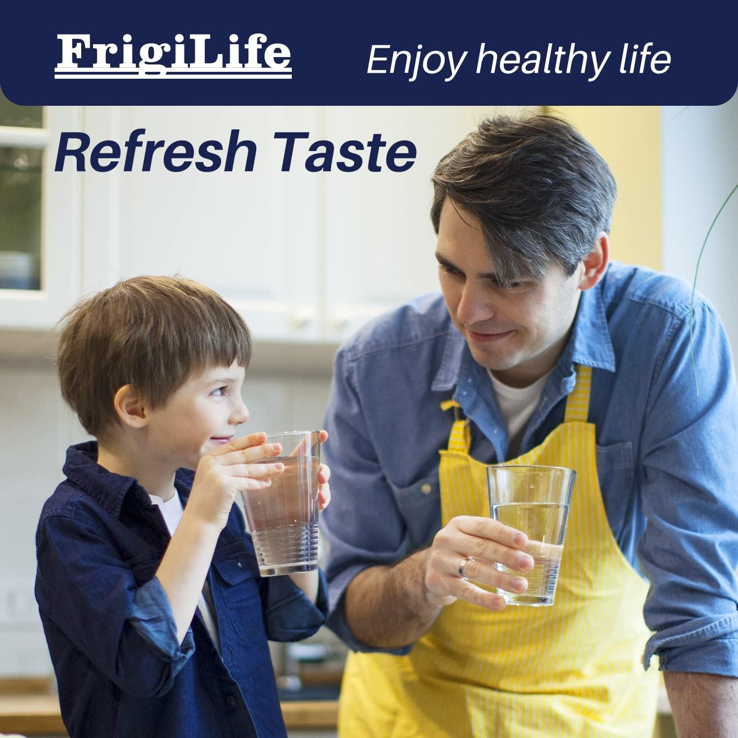 Filtro de Agua FrigiLife Compatible Brita Clásico - 6 Unidades