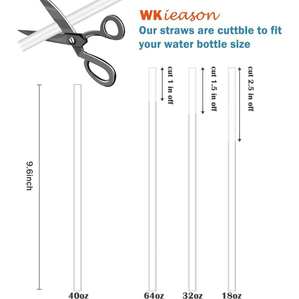 Pajitas Reutilizables WK IEASON 6pcs para Hydro Flask 24.38cm