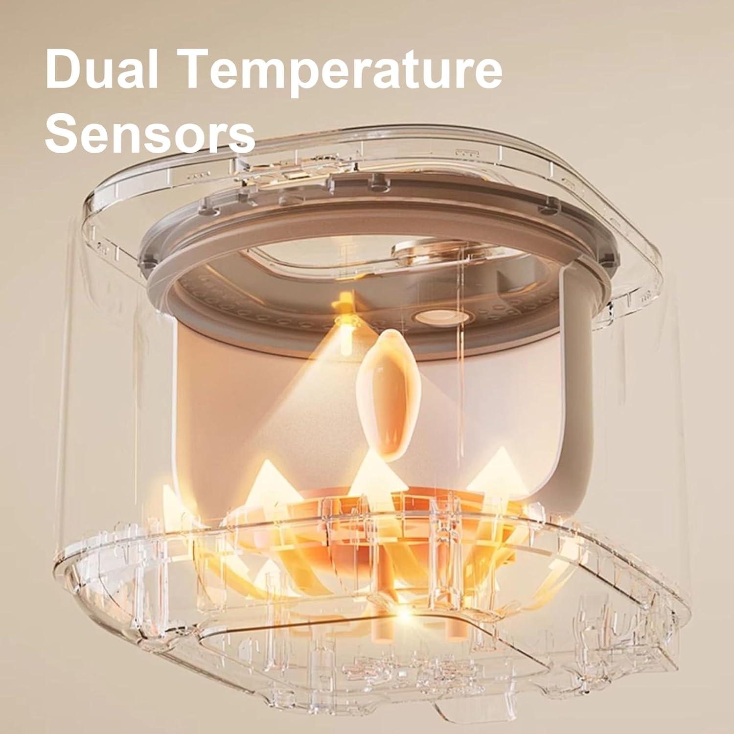 Olla Arrocera Eléctrica Akureo WGX-301 3L Baja en Azúcar