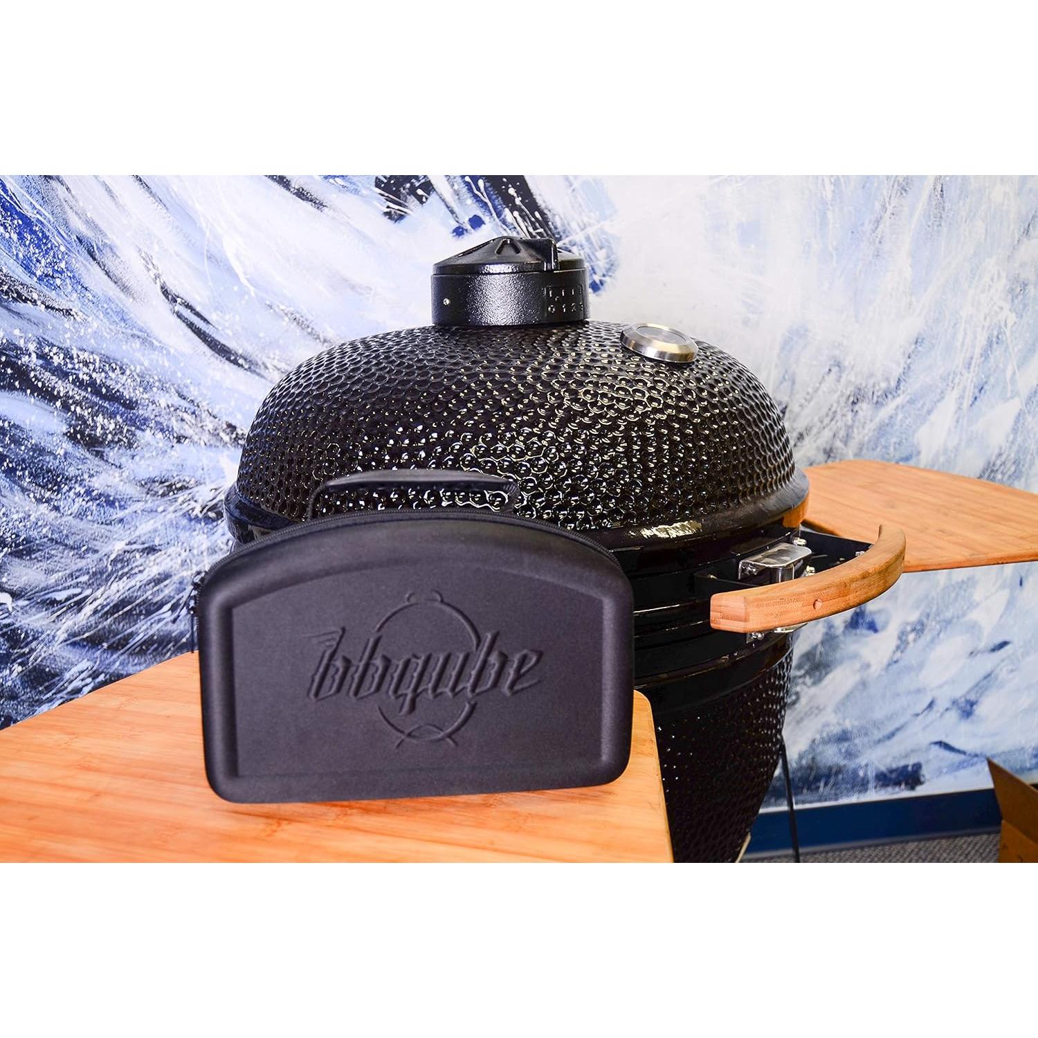 Controlador de Temperatura BBQube TempMaster 12V con Ventilador