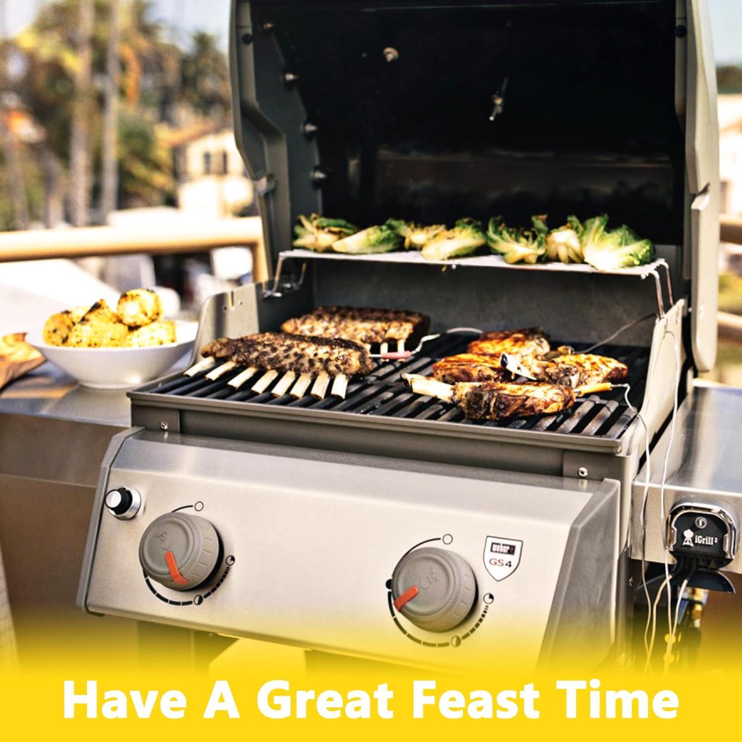 Kit de Reemplazo Parrilla Weber Spirit 200 Hipoilk - 2 Quemadores