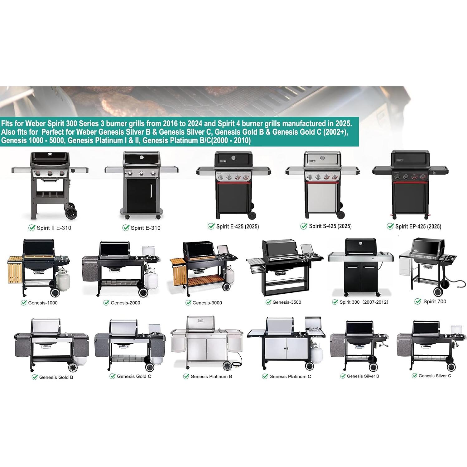 Plancha de Superficie Plana EasiBBQ para Weber Spirit 300