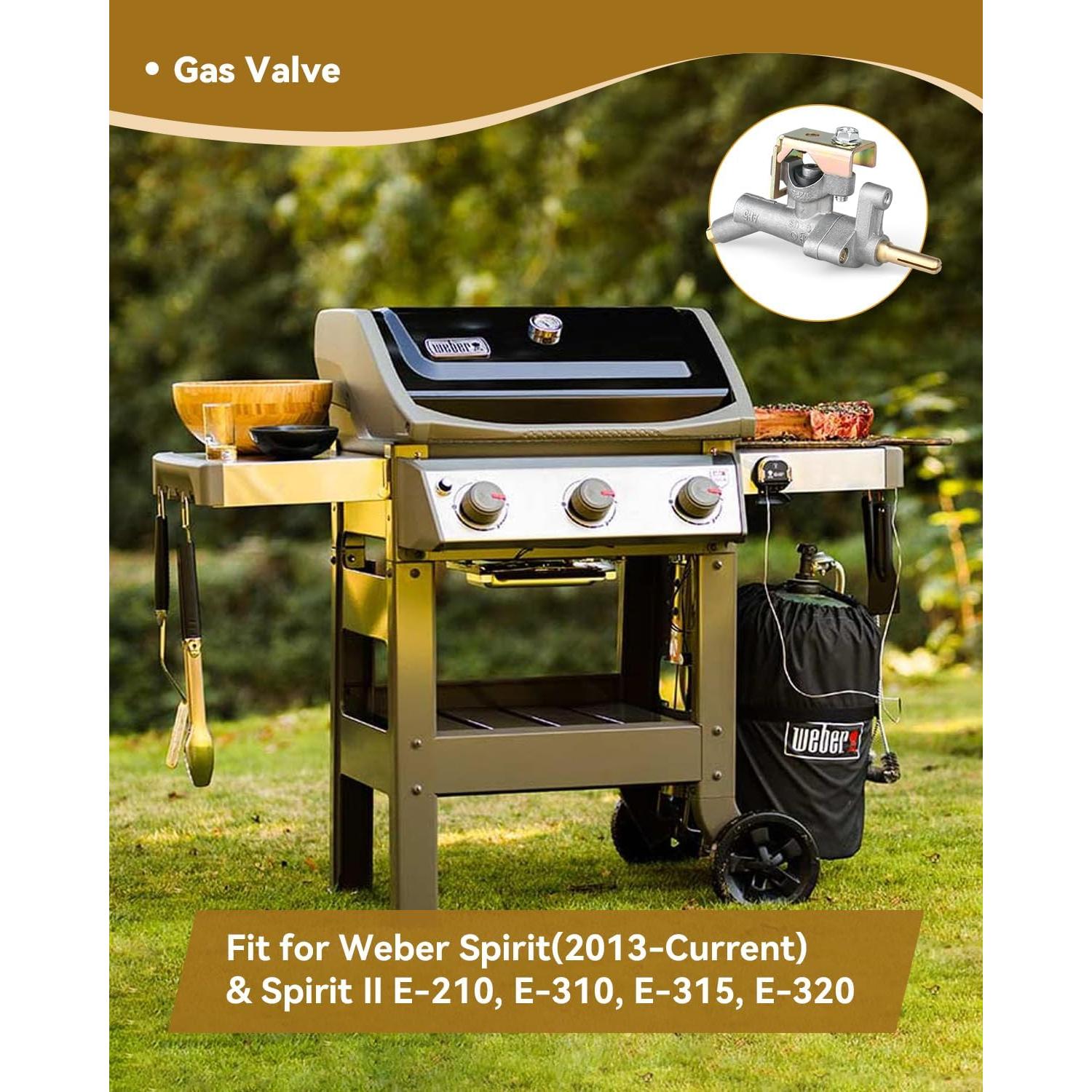 Válvula de Control para Parrilla Weber Spirit II Rigshru