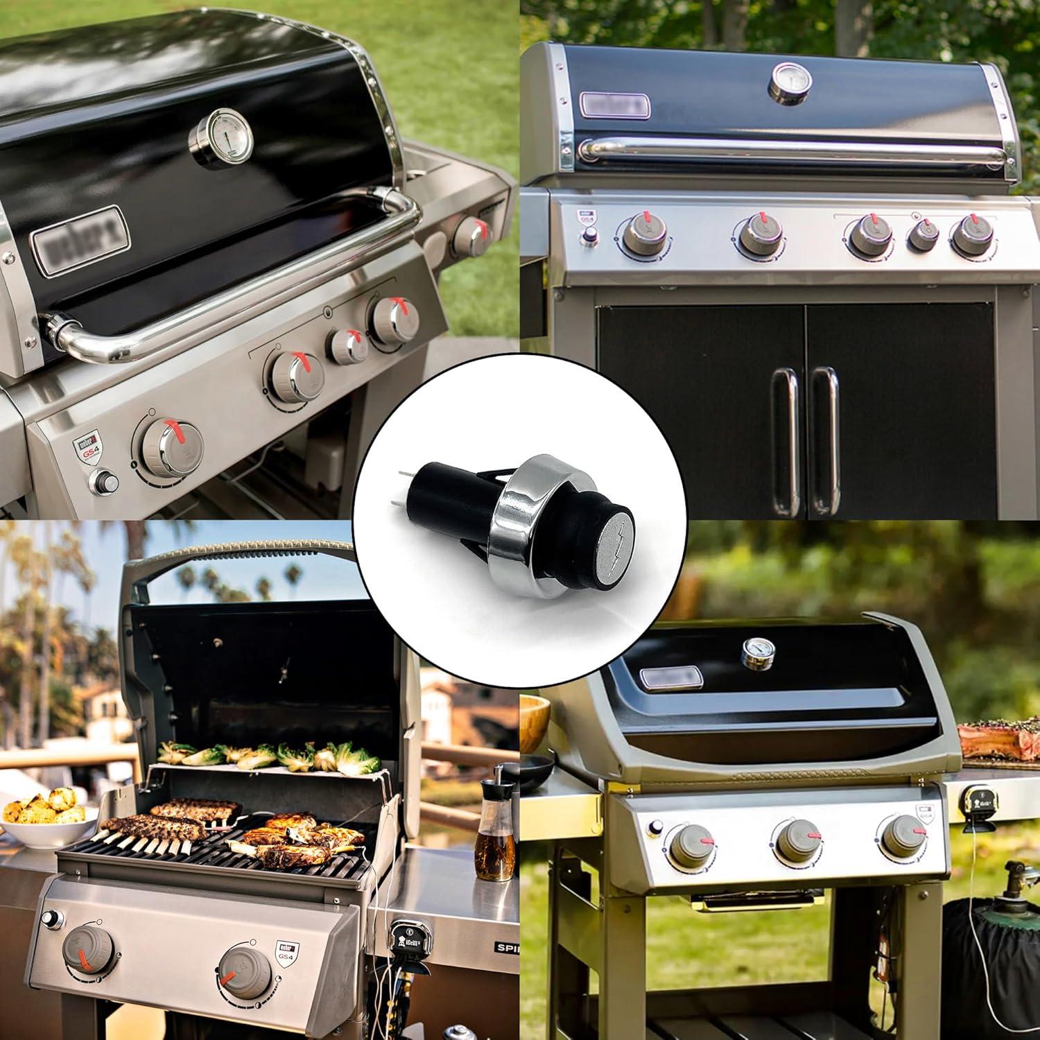 Interruptor de Encendido Weber GS4 Genesis II y Spirit II