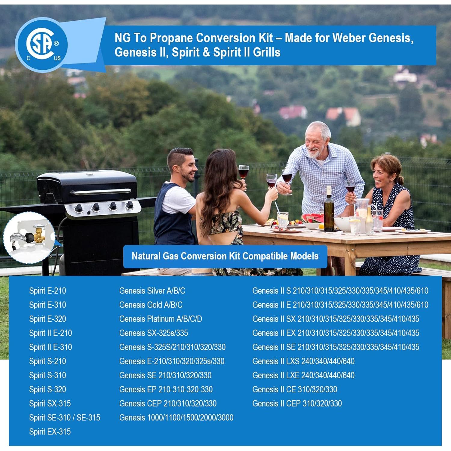 Kit de Conversión Gas Natural a Propano FJXBYWM para Parrillas Weber